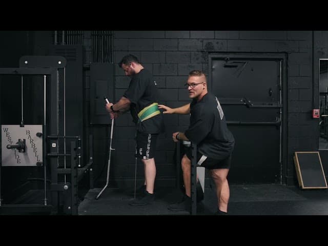 Belt Squat