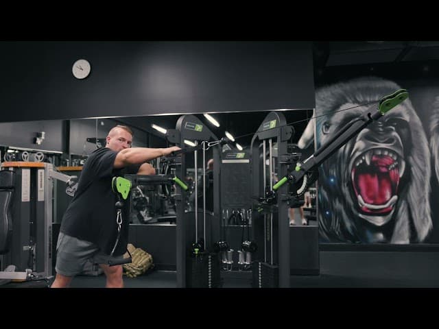 Single Arm Free Motion Cable Rear Delt Row